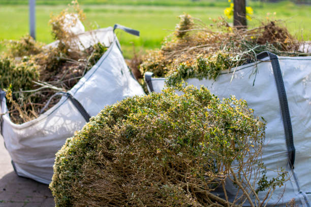 Best Yard Cleanup Services  in Mount Zion, GA